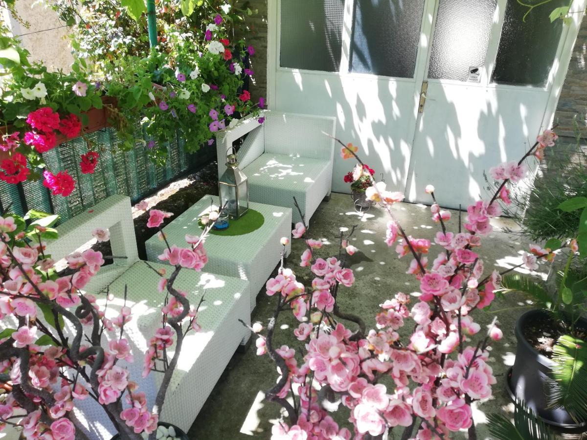 Apartman Teuta Zagreb Bagian luar foto
