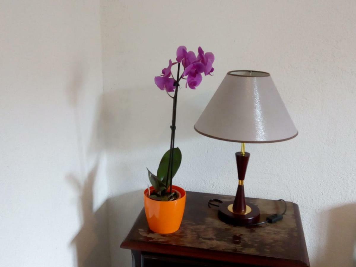 Apartman Teuta Zagreb Bagian luar foto