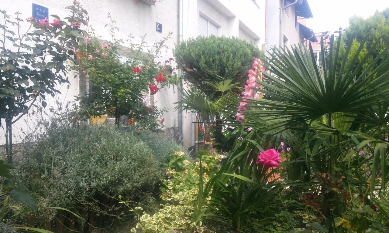 Apartman Teuta Zagreb Bagian luar foto